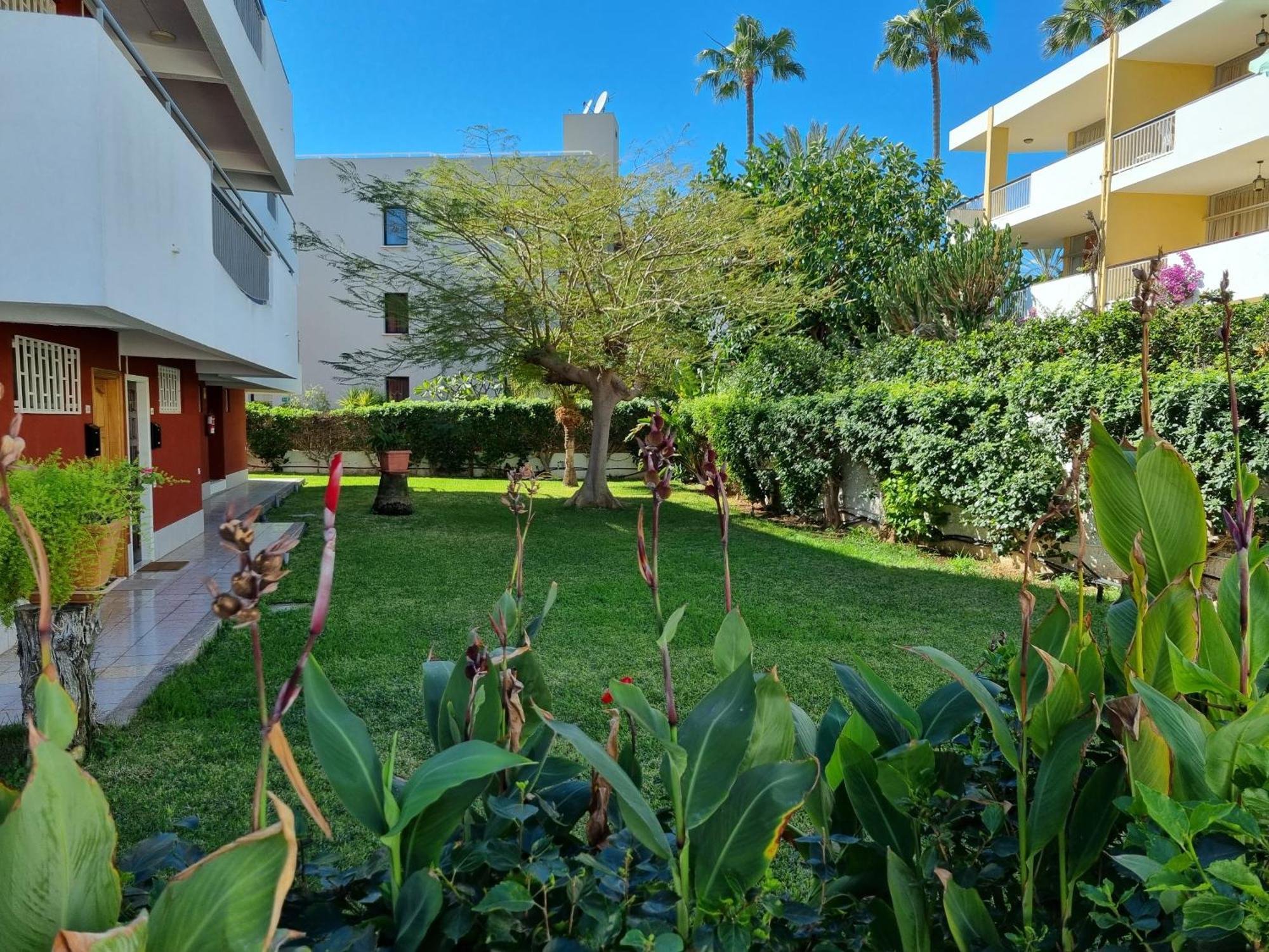 Apartment With Sea View Close To Dunes Of Playa Del Ingles San Bartolomé 외부 사진